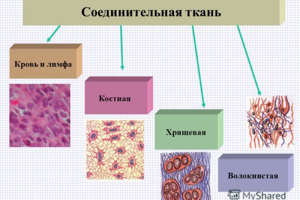 Ссылка на кракен 2024