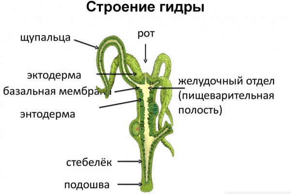 Кракен сайт официальный onion